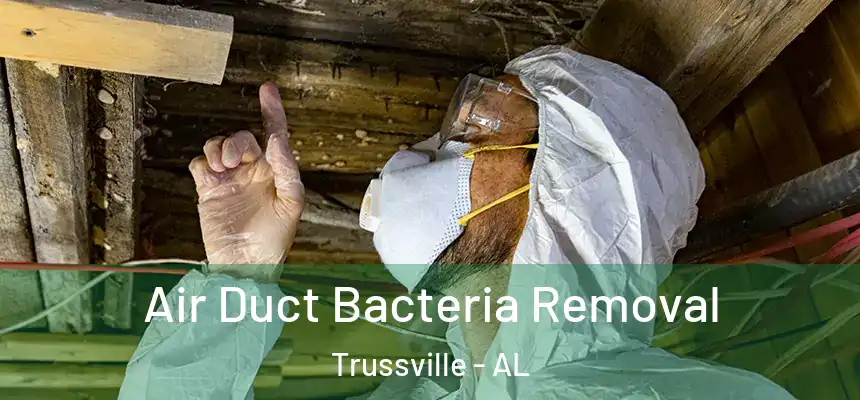 Air Duct Bacteria Removal Trussville - AL