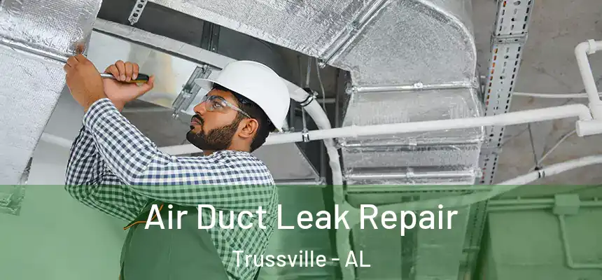 Air Duct Leak Repair Trussville - AL