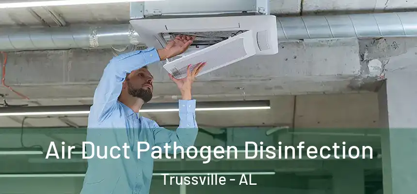  Air Duct Pathogen Disinfection Trussville - AL