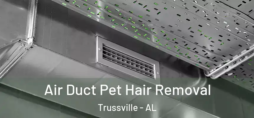 Air Duct Pet Hair Removal Trussville - AL