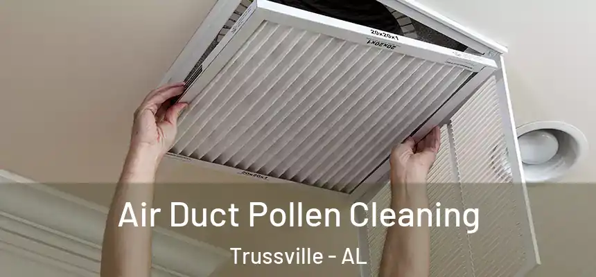 Air Duct Pollen Cleaning Trussville - AL