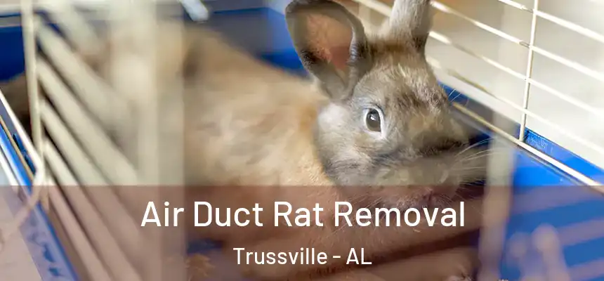 Air Duct Rat Removal Trussville - AL