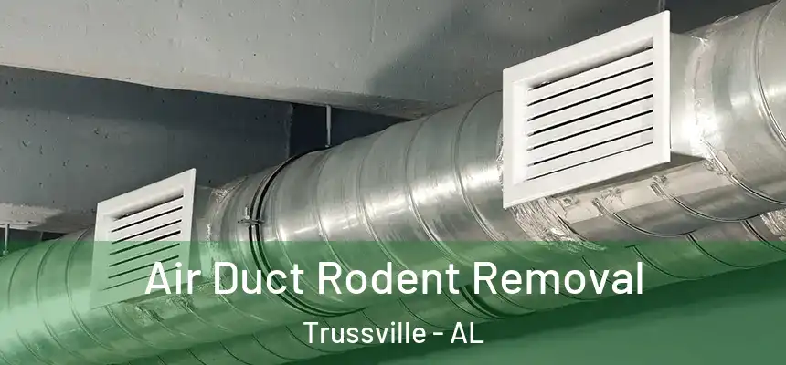 Air Duct Rodent Removal Trussville - AL