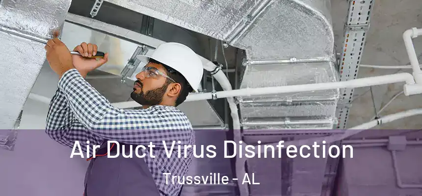 Air Duct Virus Disinfection Trussville - AL
