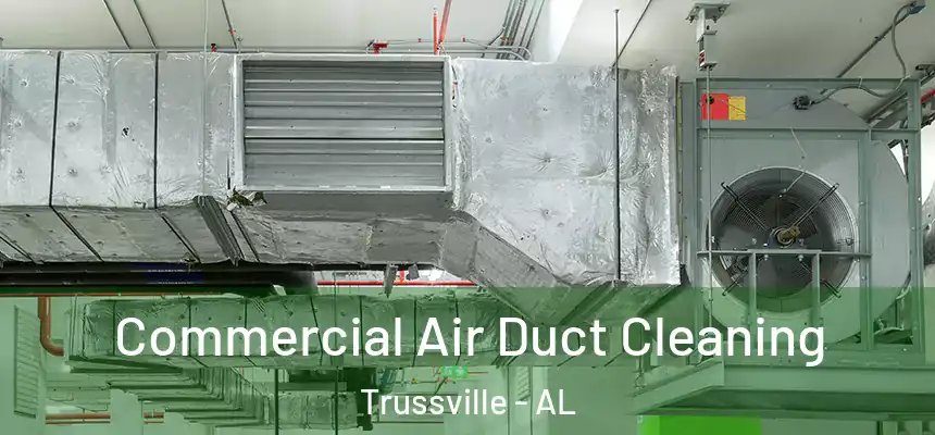 Commercial Air Duct Cleaning Trussville - AL