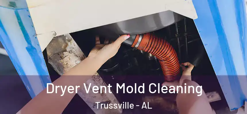  Dryer Vent Mold Cleaning Trussville - AL