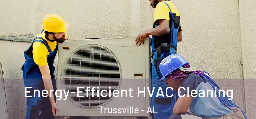  Energy-Efficient HVAC Cleaning Trussville - AL