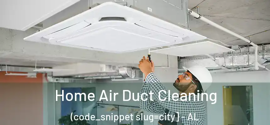  Home Air Duct Cleaning (code_snippet slug=city] - AL