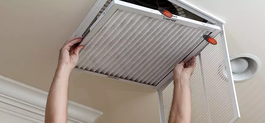 Preventive Cockroach-Proofing for Ducts in Trussville