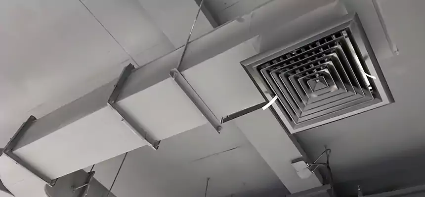 Restorative Allergy Relief Vent Cleaning – Coil, Blower & Housing Detail in Trussville