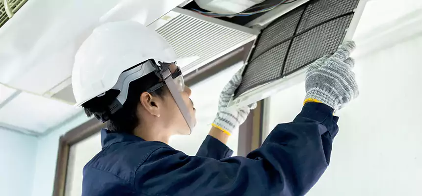 Our Mold & Mildew Removal from Air Ducts Services in Trussville, AL