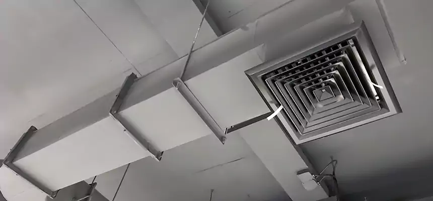 Our Pest Removal From Ducts Services in Trussville, AL