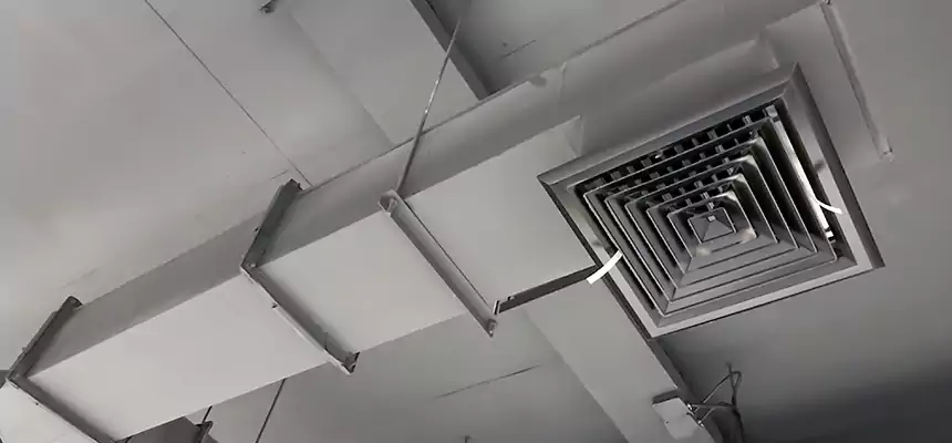 Our Rodent Droppings In Vents Services in Trussville, AL