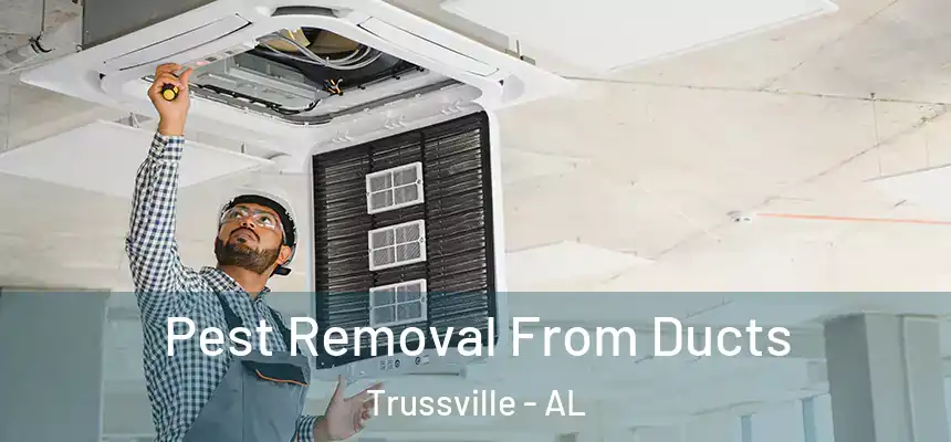Pest Removal From Ducts Trussville - AL
