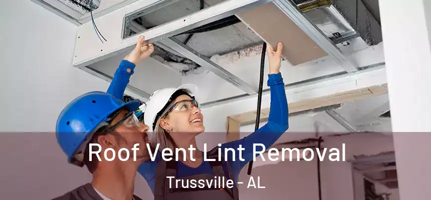  Roof Vent Lint Removal Trussville - AL