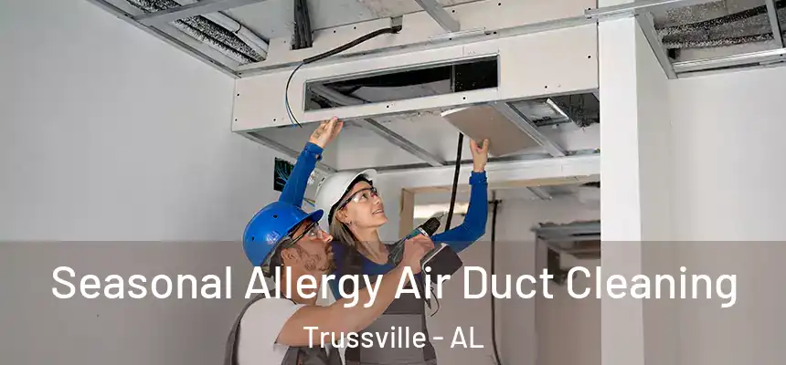 Seasonal Allergy Air Duct Cleaning Trussville - AL