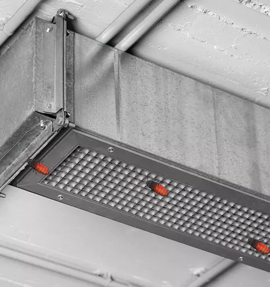 About Air Duct Cockroach Removal in Trussville, AL