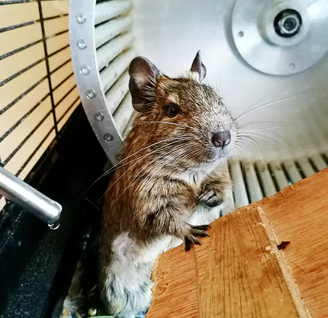 Why Homeowners & Businesses Trust Us Trussville, AL