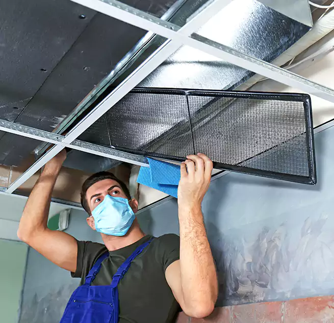 Why Homeowners Businesses Trust Us in Trussville, AL